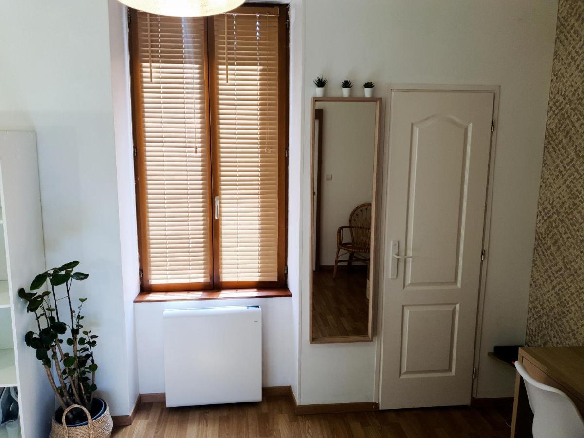 Appartement Cosy Entier, Parking Gratuit Dans La Rue 디종 외부 사진