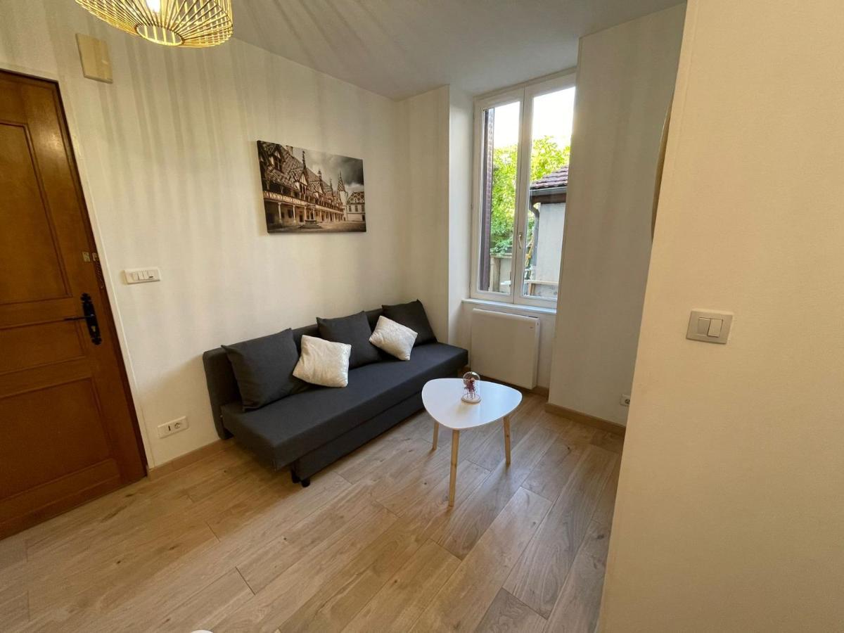 Appartement Cosy Entier, Parking Gratuit Dans La Rue 디종 외부 사진